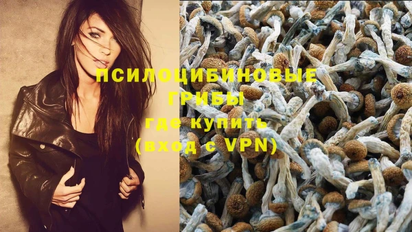 стаф Алзамай