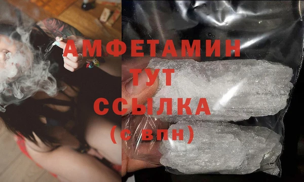 стаф Алзамай
