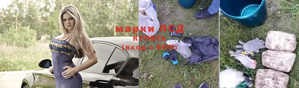 стаф Алзамай