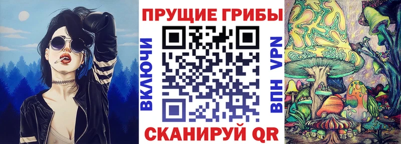 где найти   Бологое  Галлюциногенные грибы MAGIC MUSHROOMS 